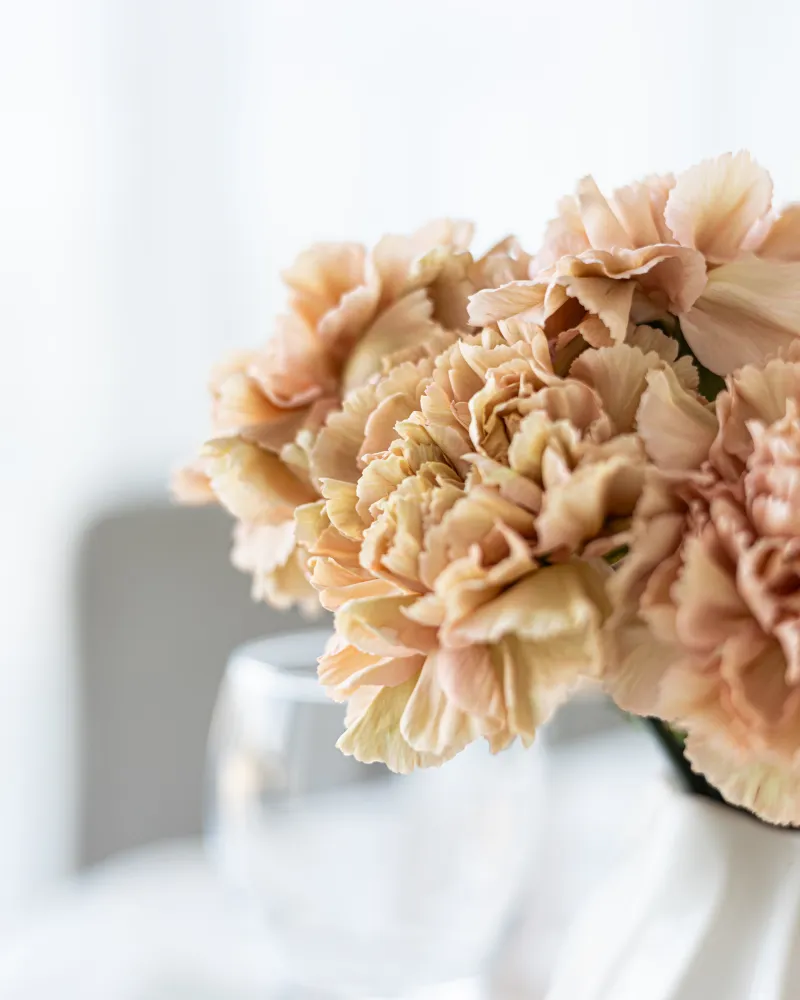 Vestuvių dekoravimo paslauga