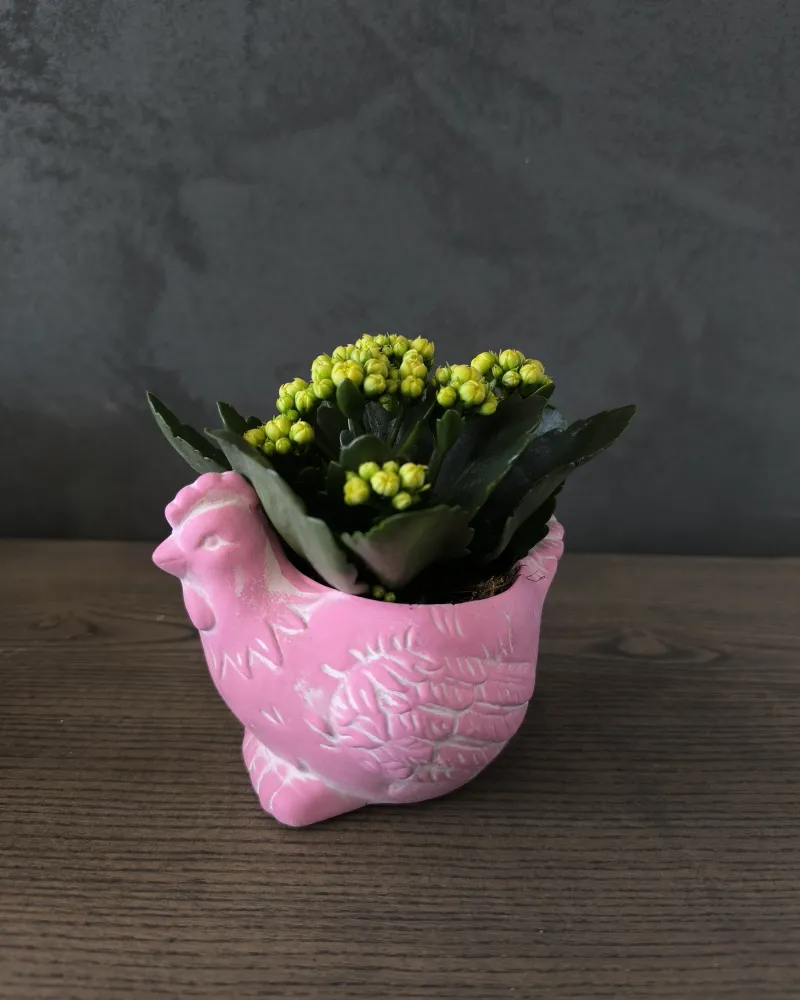 Velykinė dekoracija "Vištelė"