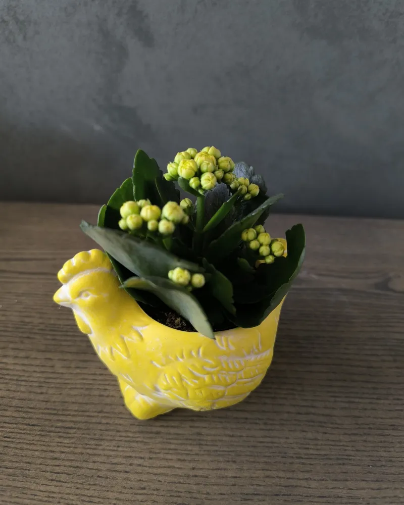 Velykinė dekoracija "Vištelė"