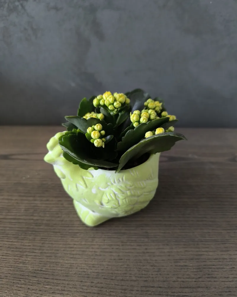 Velykinė dekoracija "Vištelė"