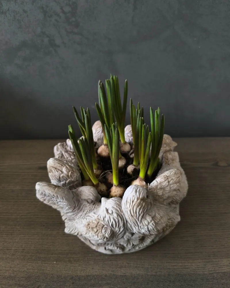 Velykinė dekoracija "Paukšteliai"