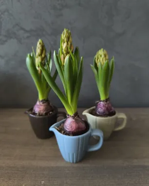 Pavasario dekoracija "Hiacintas"