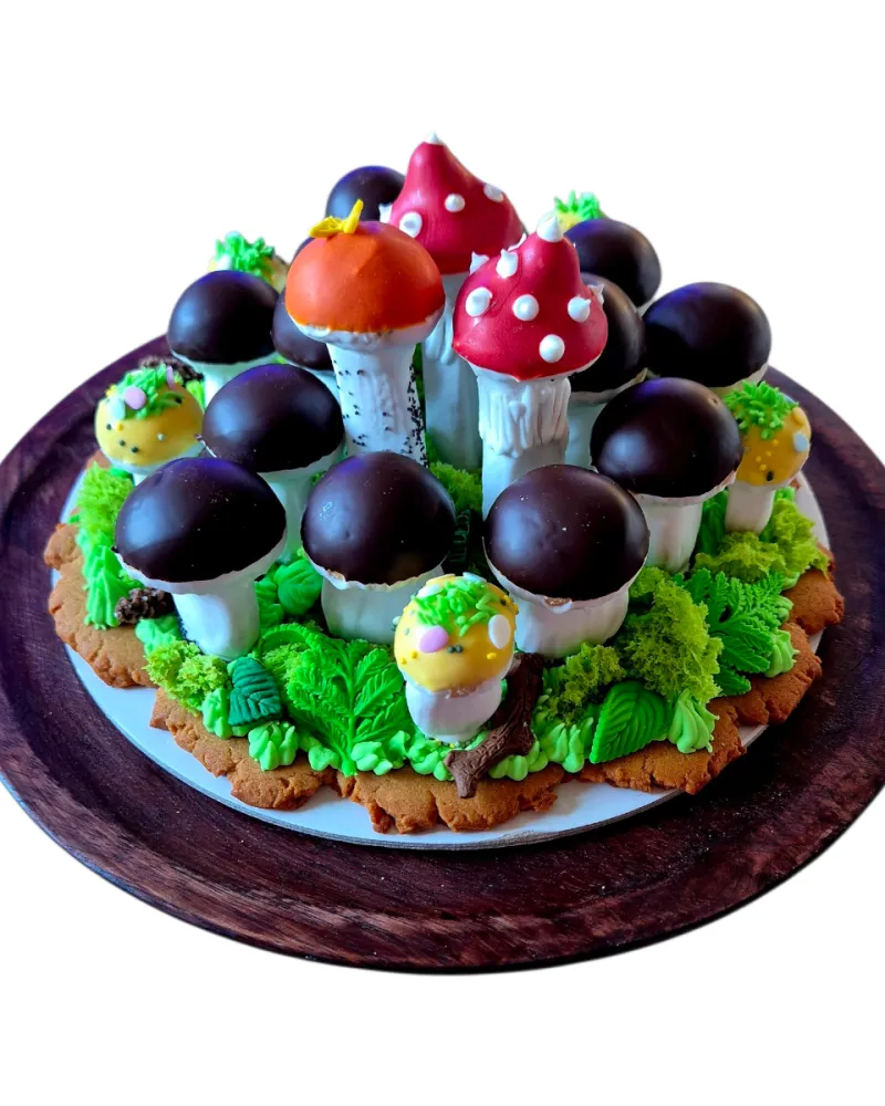 Meduolinis rinkinys GRYBŲ ŠEIMYNA