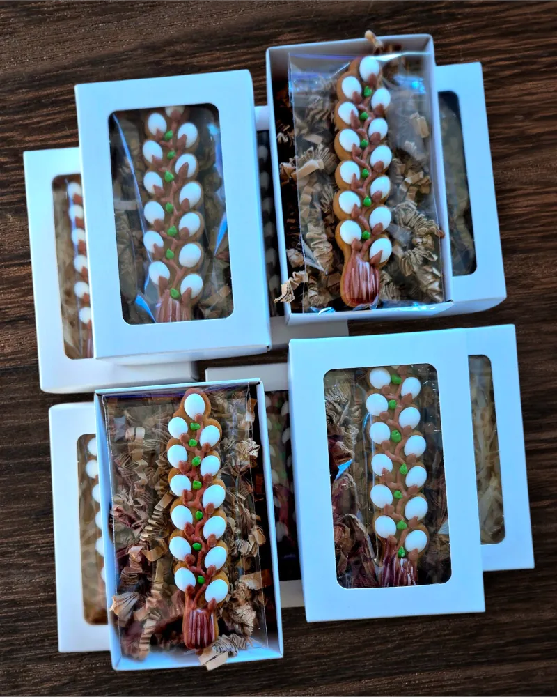 Meduolinių KAČIUKŲ šakelės