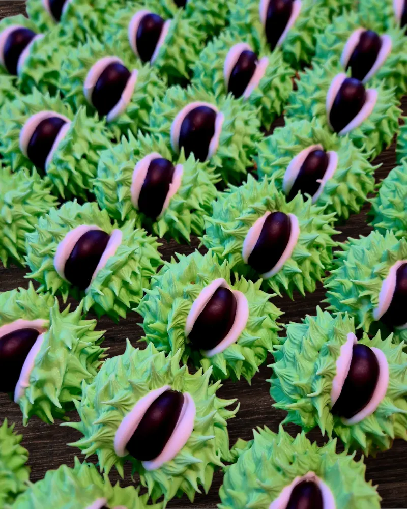 Meduoliniai KAŠTONAI