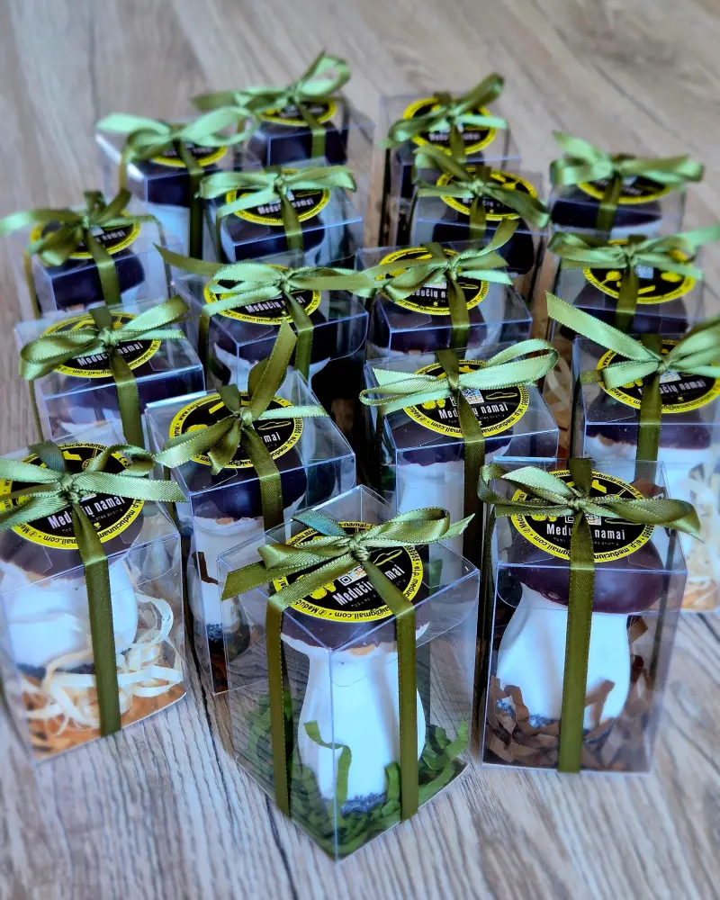 MINI meduolinė dovana GRYBAS