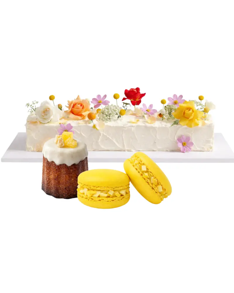 Pailgas tortas su pasirinktos spalvos dekoracijomis (nuo 4 kg)