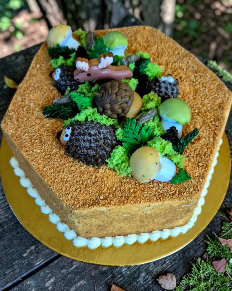 Klasikinis biskvitinis tortas MEDUTIS