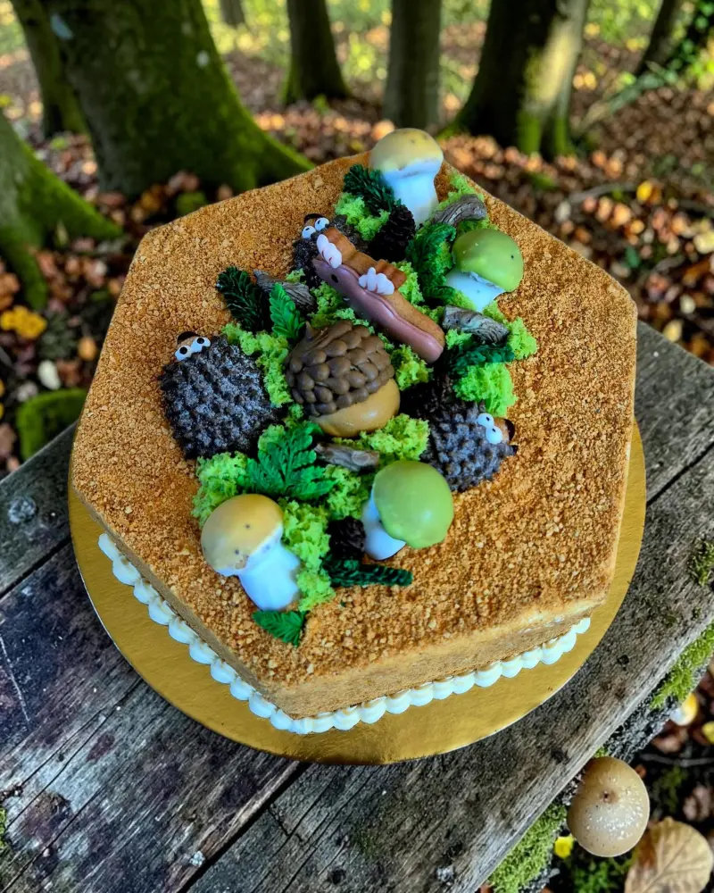 Klasikinis biskvitinis tortas MEDUTIS