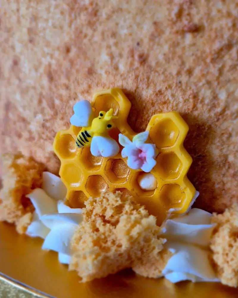 Šventinis tortas MEDUTIS