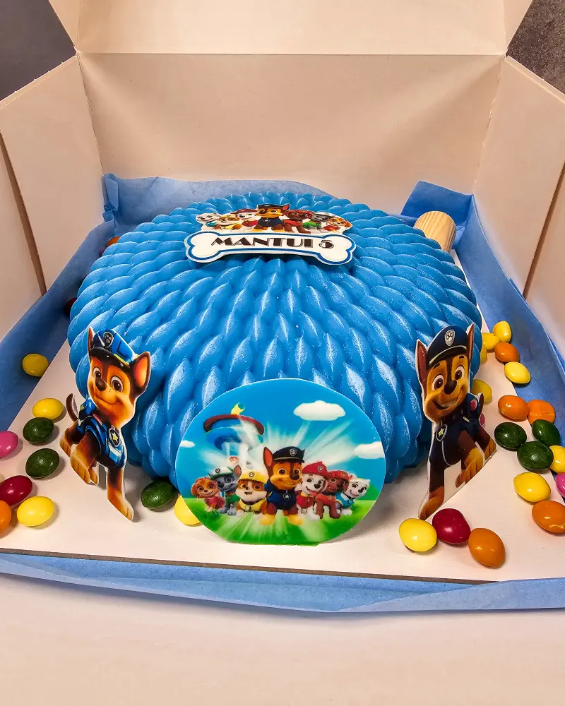 Daužomas tortas Šunyčiai patruliai