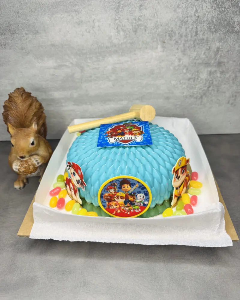 Daužomas tortas Šunyčiai patruliai