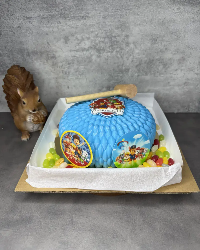 Daužomas tortas Šunyčiai patruliai