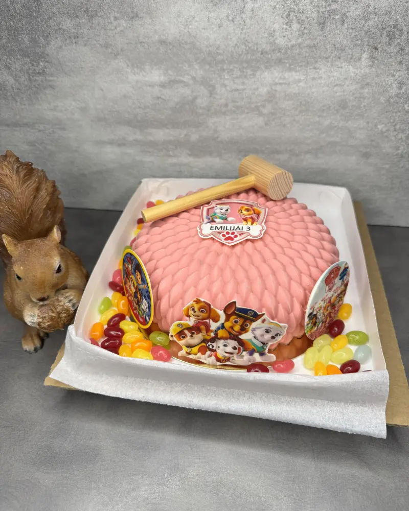 Daužomas tortas Šunyčiai patruliai