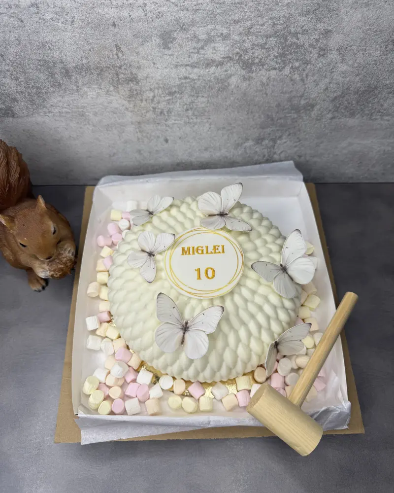 Daužomas tortas DRUGELIAI
