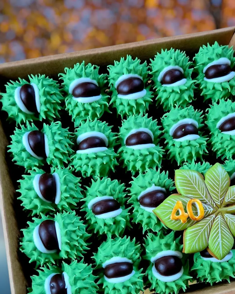 40 KAŠTONŲ ŽALIŲ meduolinė dovana